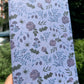 Purple Roses and Spiders Lined Book