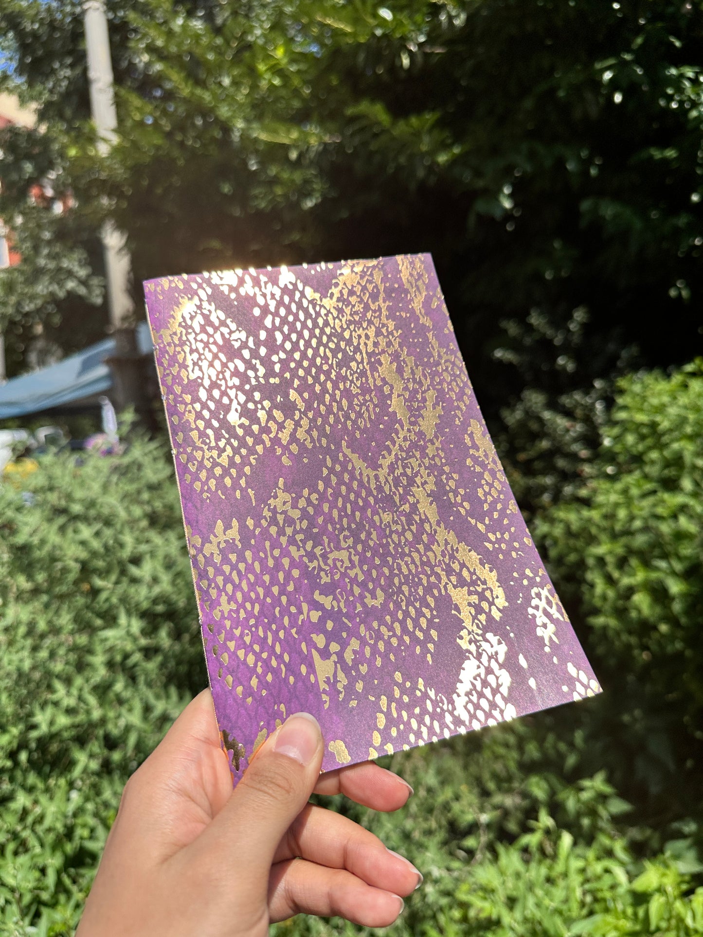 Purple Snack Skin Lined Book