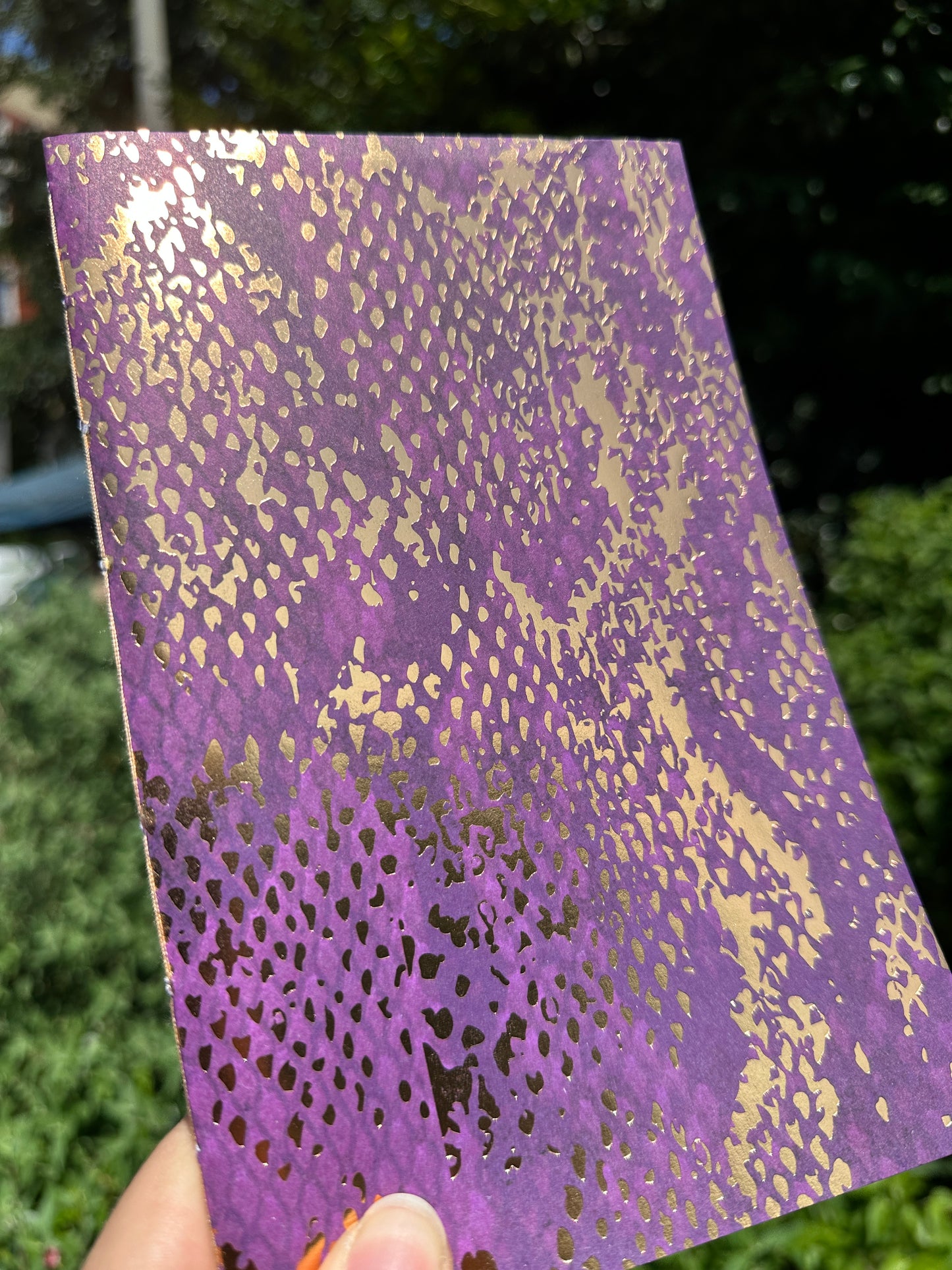 Purple Snack Skin Lined Book