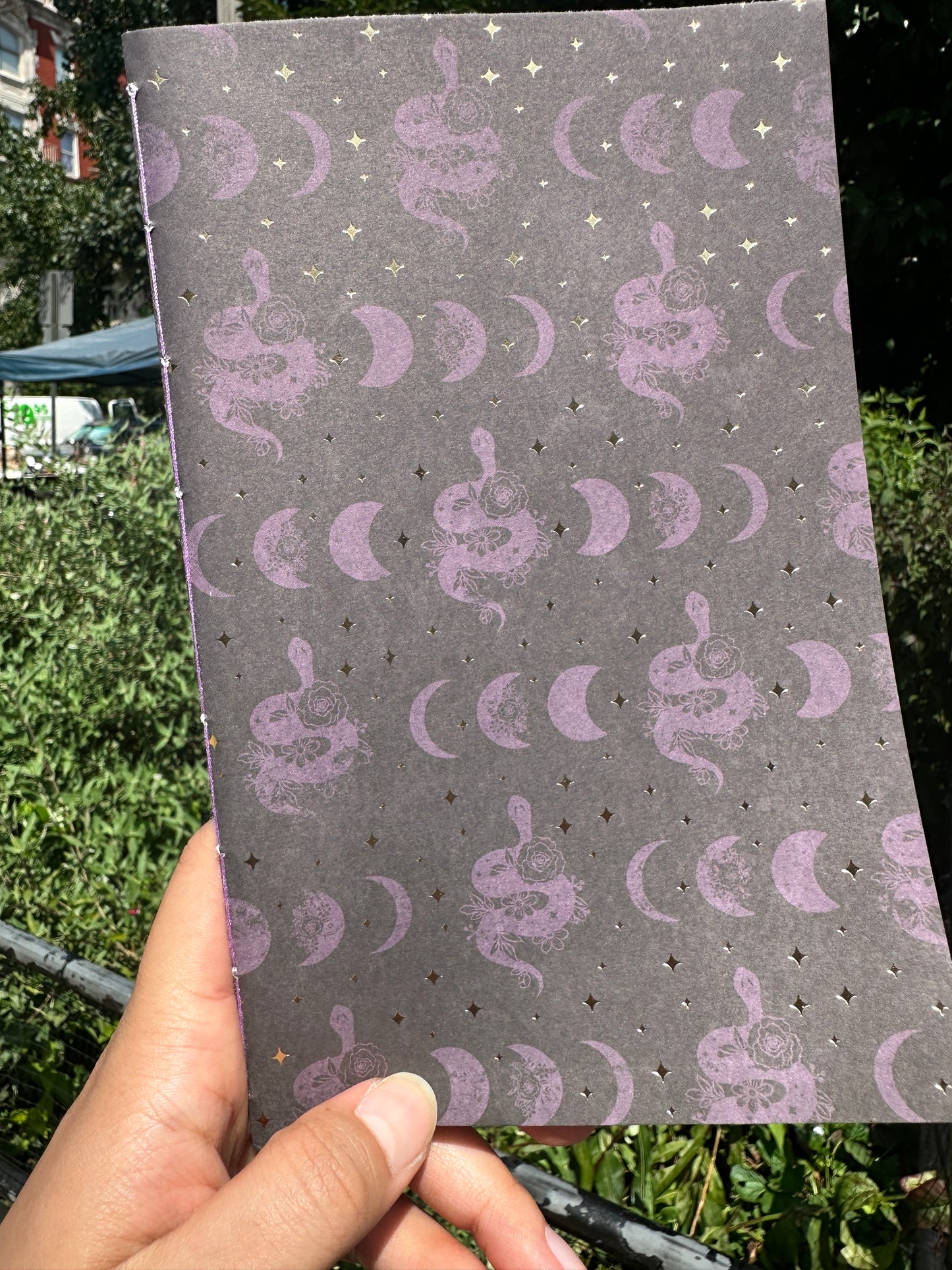 Serpent Moon Lined Book